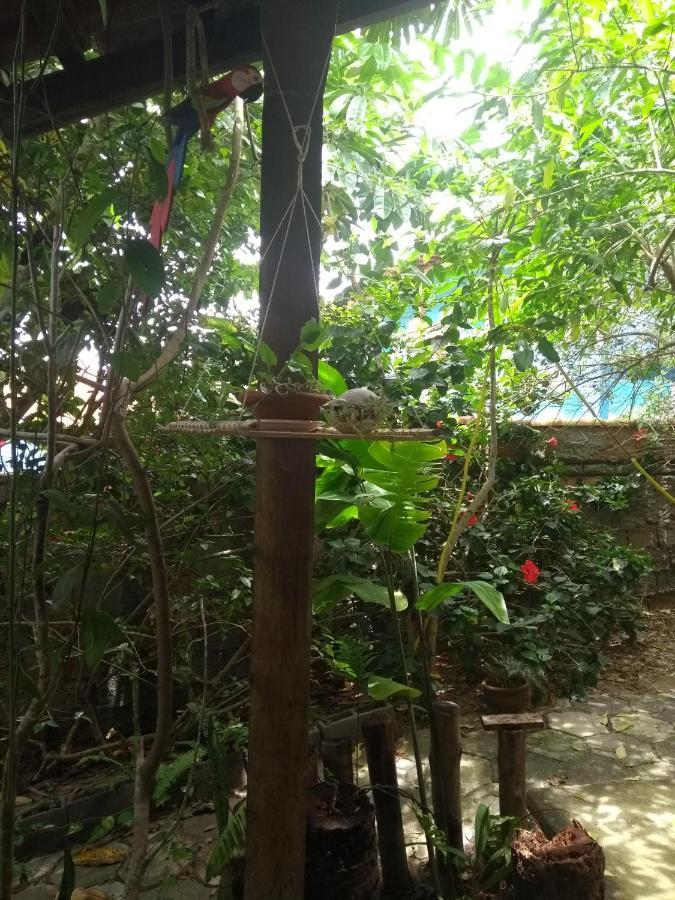 Pousada Recanto Devas Cabo Frio Zewnętrze zdjęcie